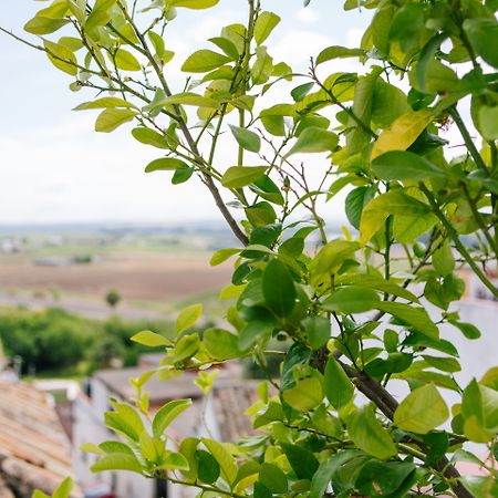 Al-Mudawar Casa Rural Almodóvar del Río Dış mekan fotoğraf